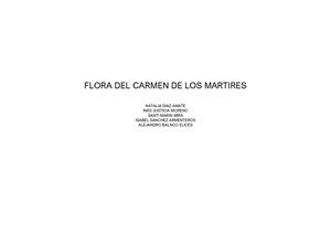 INVENTARIO FLORA CARMEN.pdf