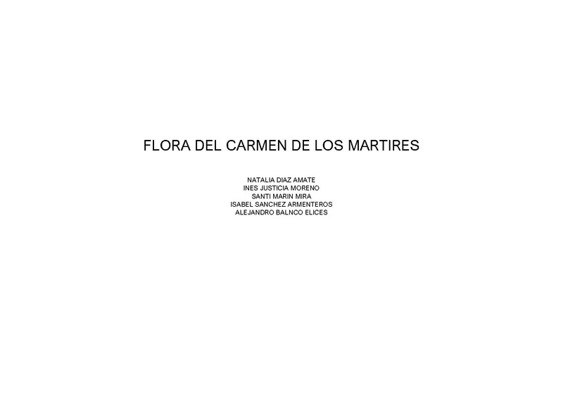 INVENTARIO FLORA CARMEN.pdf