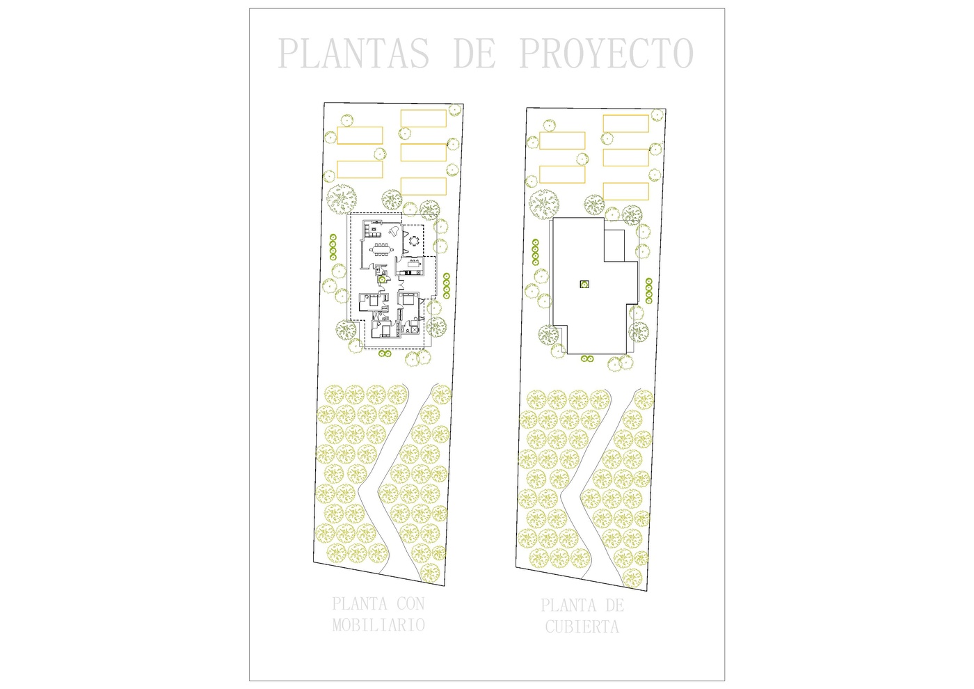 PLANTAS 2.pdf