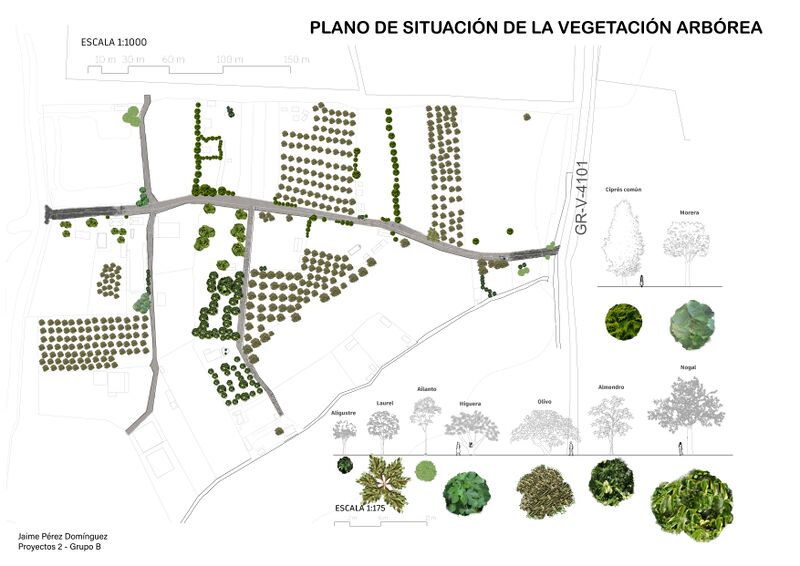 Plano de situación basado en el catastro donde se marcan con texturas los tipos de árbol del lugar. Así como una señalización entre el asfalto y la tierra.