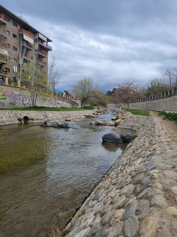 Foto río Genil 3.jpg