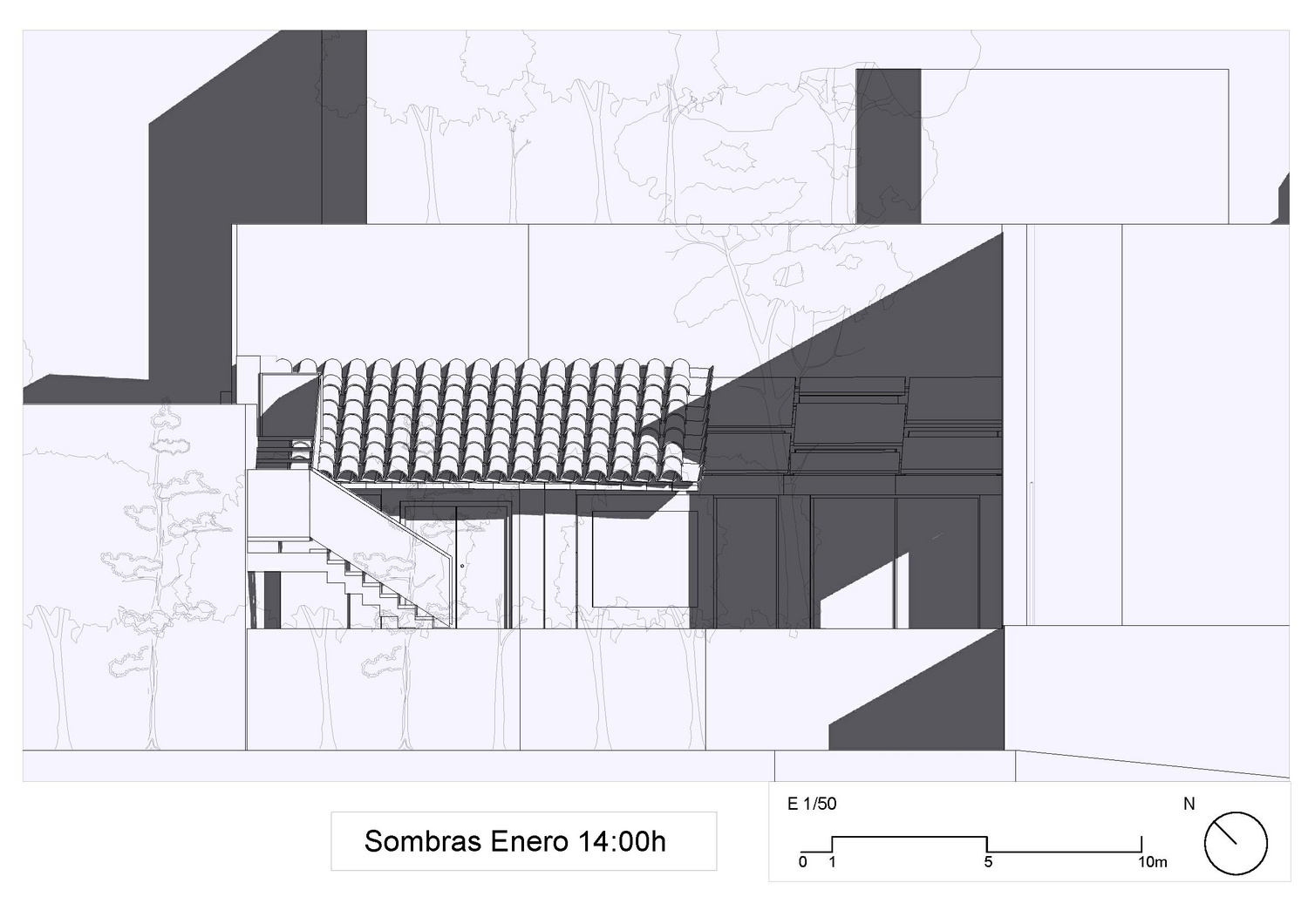SOMBRAS EN ENERO 2 DE LA TARDE.pdf