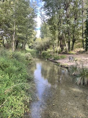 Rio en la naturaleza.jpg