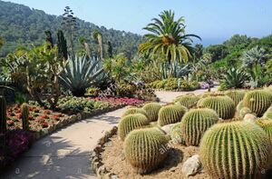 Jardin-botanico-jardi-botanic-mar-i-murtra-marimurtra-blanes-costa-blanca-cataluna-espana-y-europa-xcjbp3.jpg