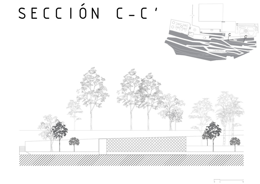 SECCION FRONTAL.pdf