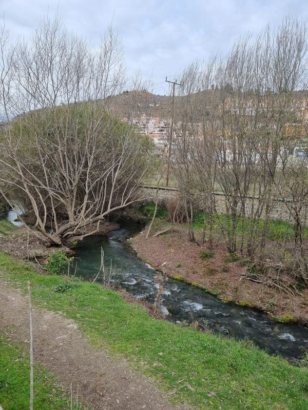 Foto río Genil 4.jpg