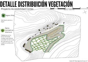 Detalle distribución de la Vegetaciónentrega.13.png