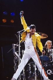 Freddie.jpg