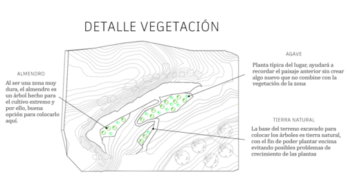 Detalle vegetación.png
