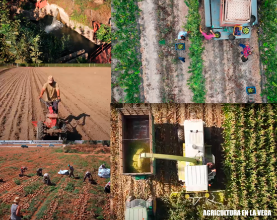 Collage agricultura.png