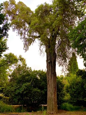 WhatsApp Image 2022-10-04 at 5.25.00 PM.jpeg