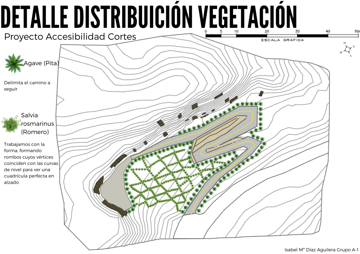 Detalle distribución de la Vegetación.png