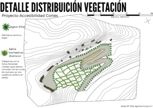 Detalle distribución de la Vegetación.png