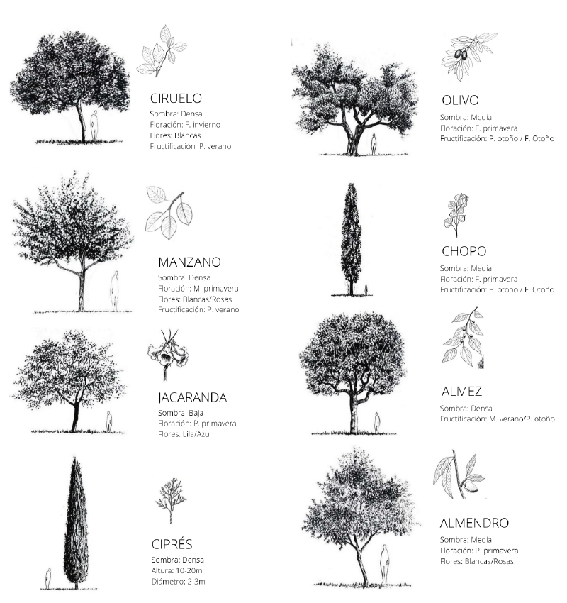 Trees.png