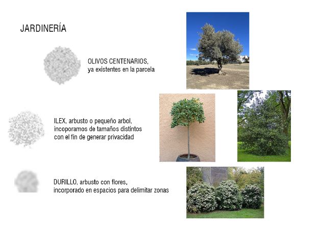 Jardineria explicado 2.jpg